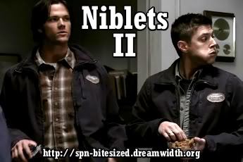 spn bitesized: niblets ii
